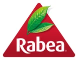 ربيع