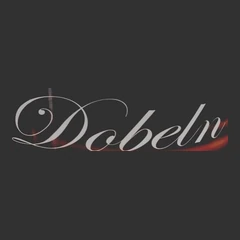 دوبلن