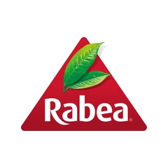 ربيع