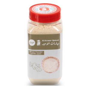 بهارات الامير زنجبيل مطحون 300 جرام