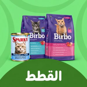 القطط