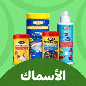 الاسماك