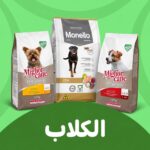 الكلاب